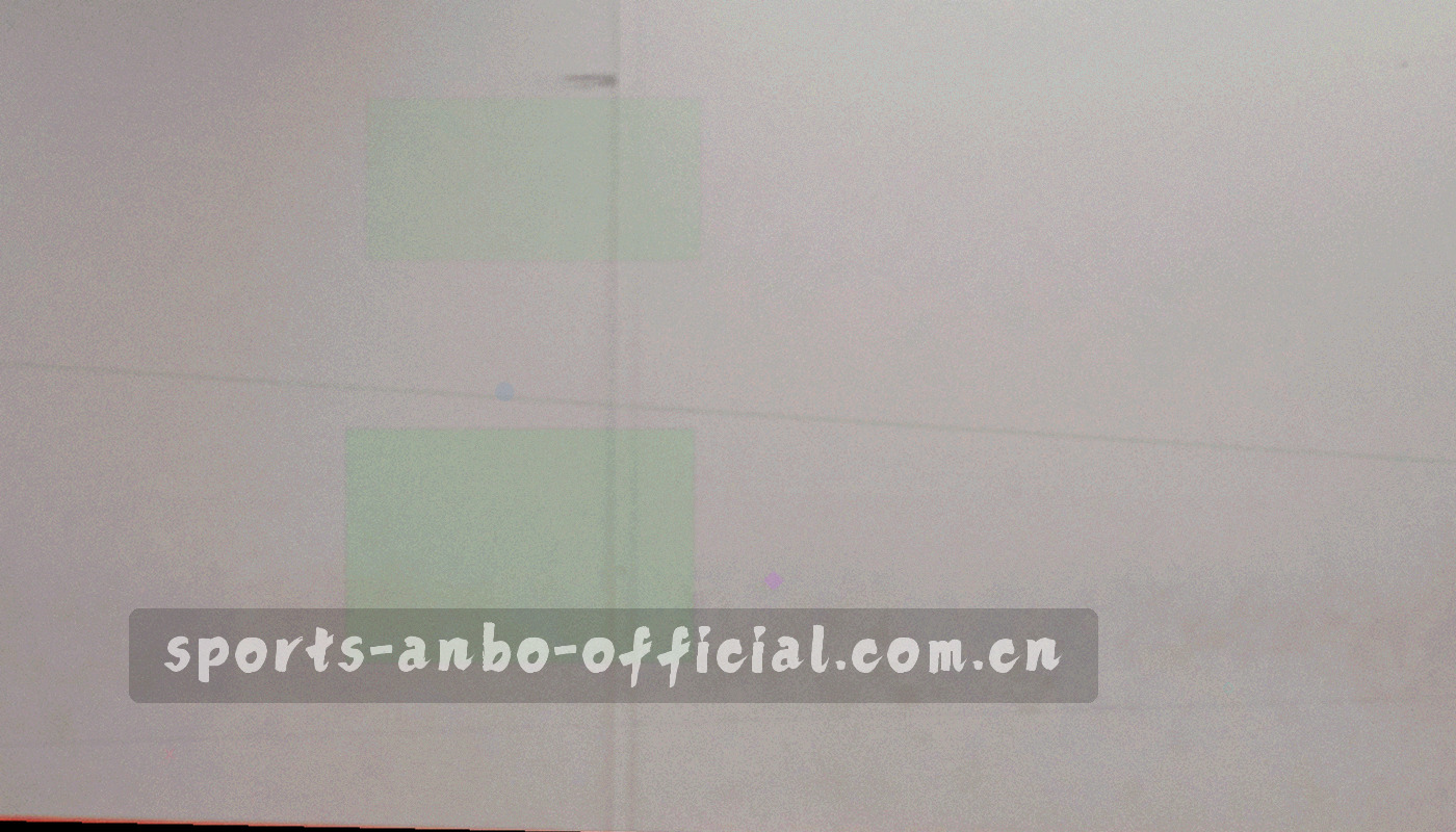 编号式操作步骤排版示意，条目带状态标签与勾选标记